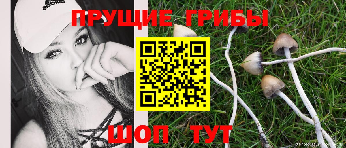 Галлюциногенные грибы прущие грибы Урай